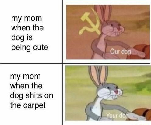 my mom when the dog is being cute
Our dog
my mom when the dog shits on the carpet
Your dog