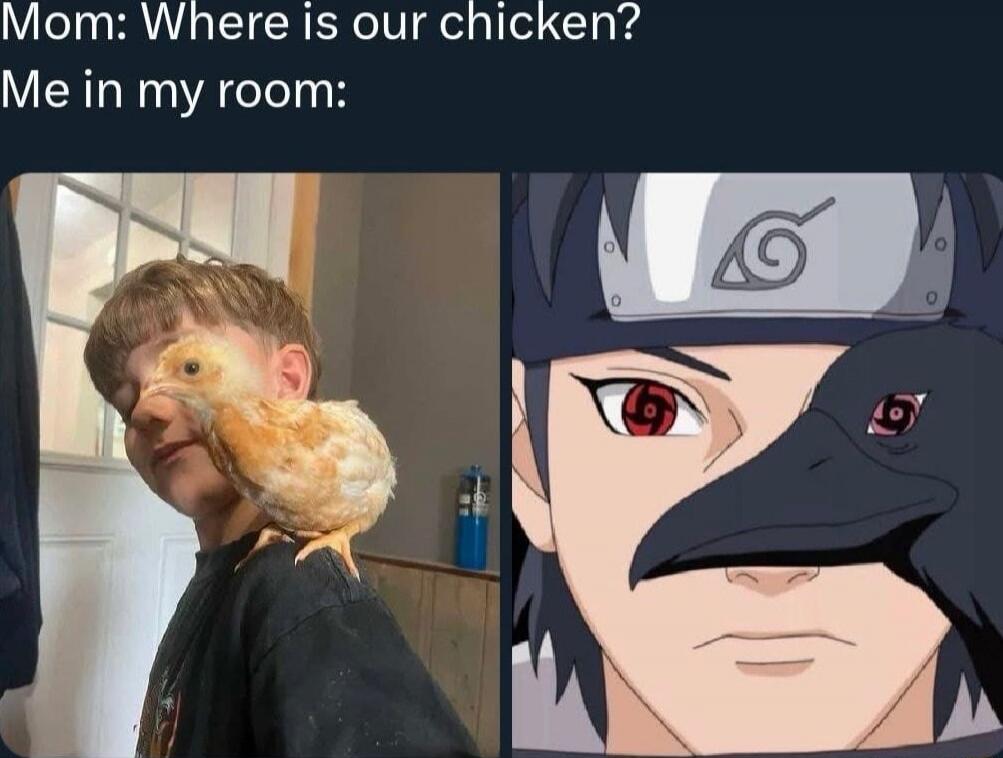 Mom: Where is our chicken? Me in my room: