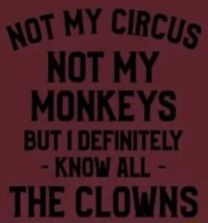 NOT MY CIRCUS NOT MY MONKEYS BUT I DEFINITELY - KNOW ALL - THE CLOWNS