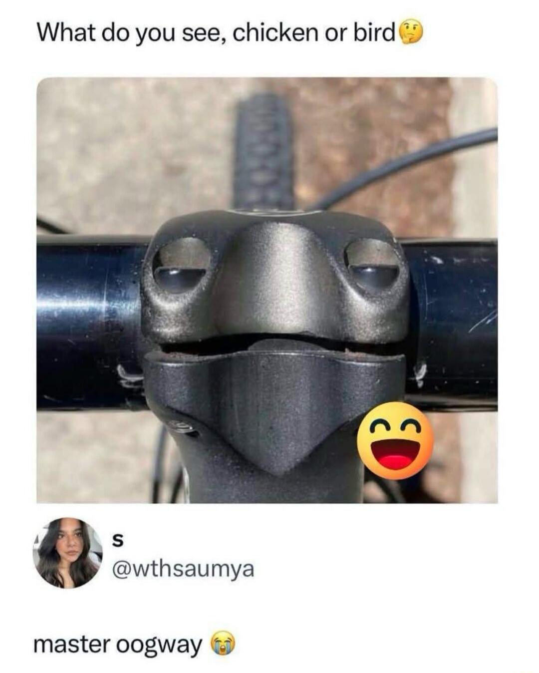 What do you see, chicken or bird🤔

master oogway 😭