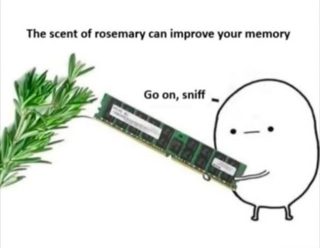 The scent of rosemary can improve your memory. Go on, sniff