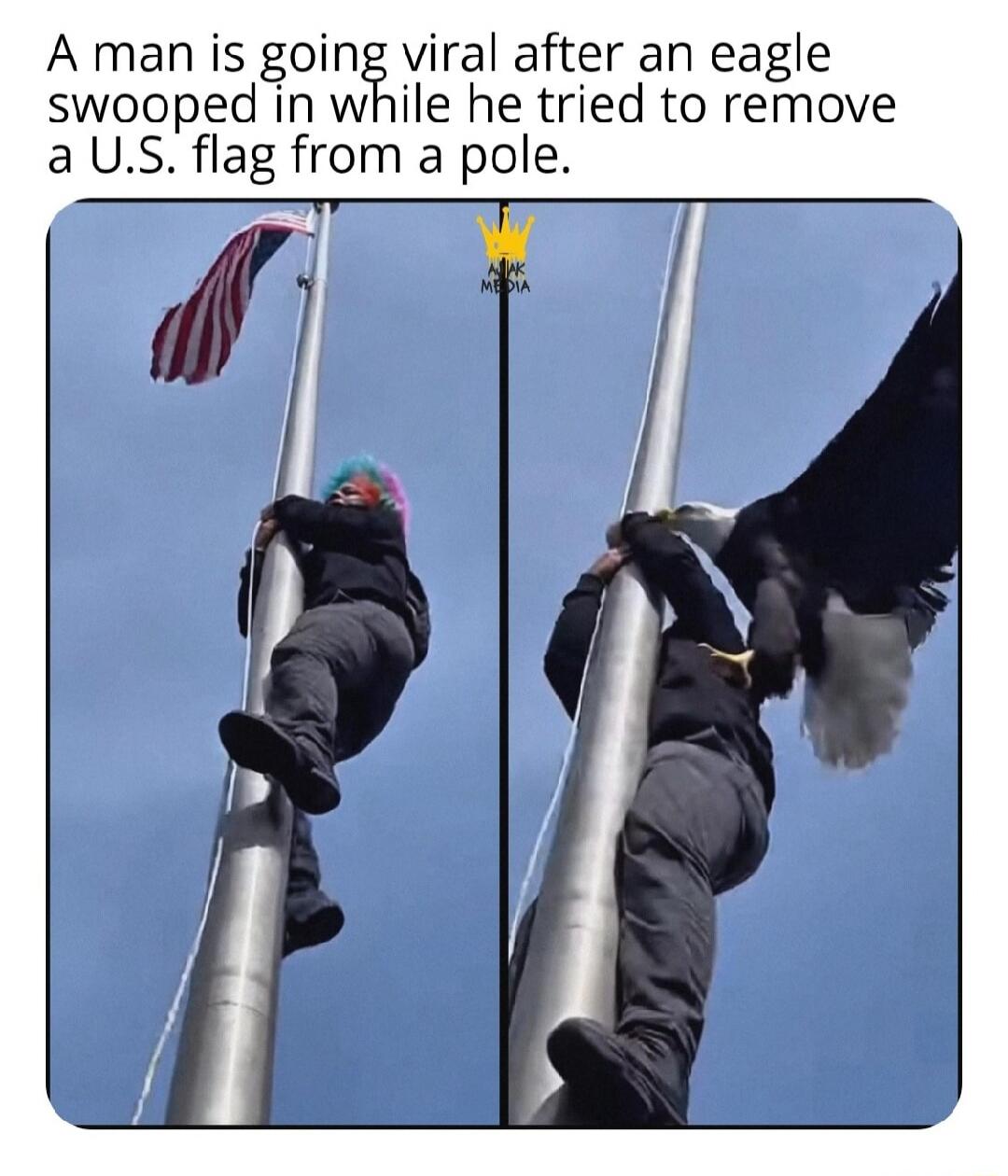 A man is going viral after an eagle swooped in while he tried to remove a U.S. flag from a pole.