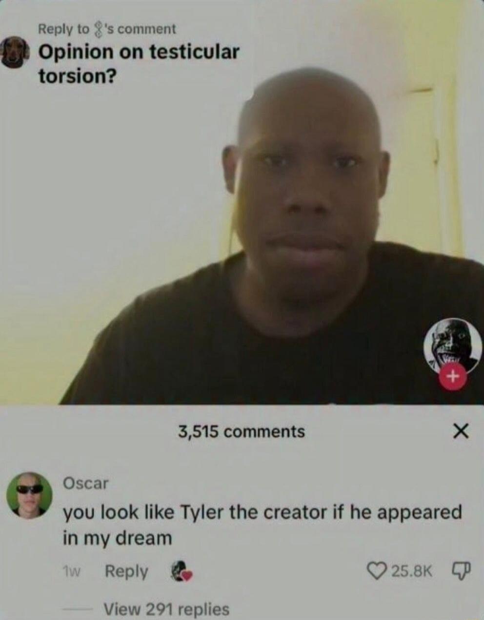Opinion on testicular torsion?
You look like Tyler the Creator if he appeared in my dream