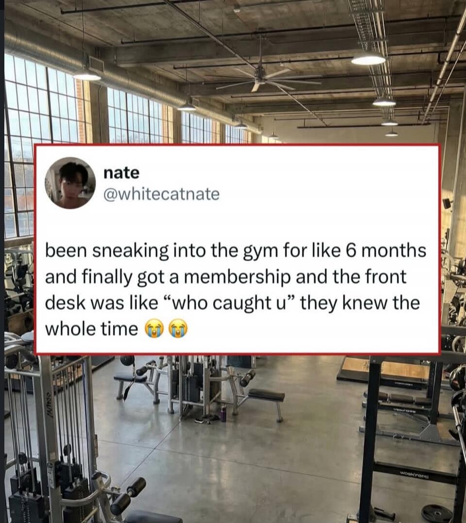 nate @whitecatnate been sneaking into the gym for like 6 months and finally got a membership and the front desk was like “who caught u” they knew the whole time 😭😂