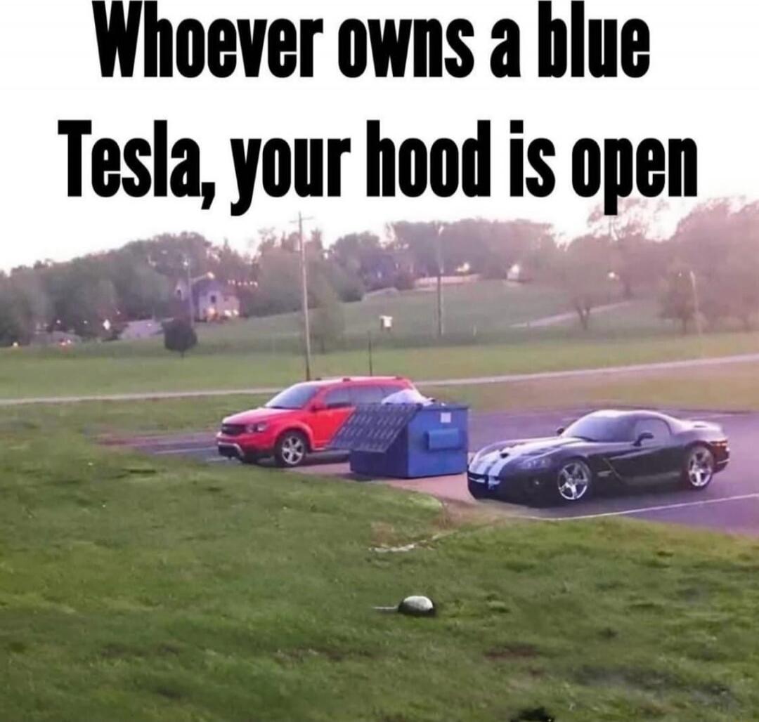 Whoever owns a blue Tesla, your hood is open