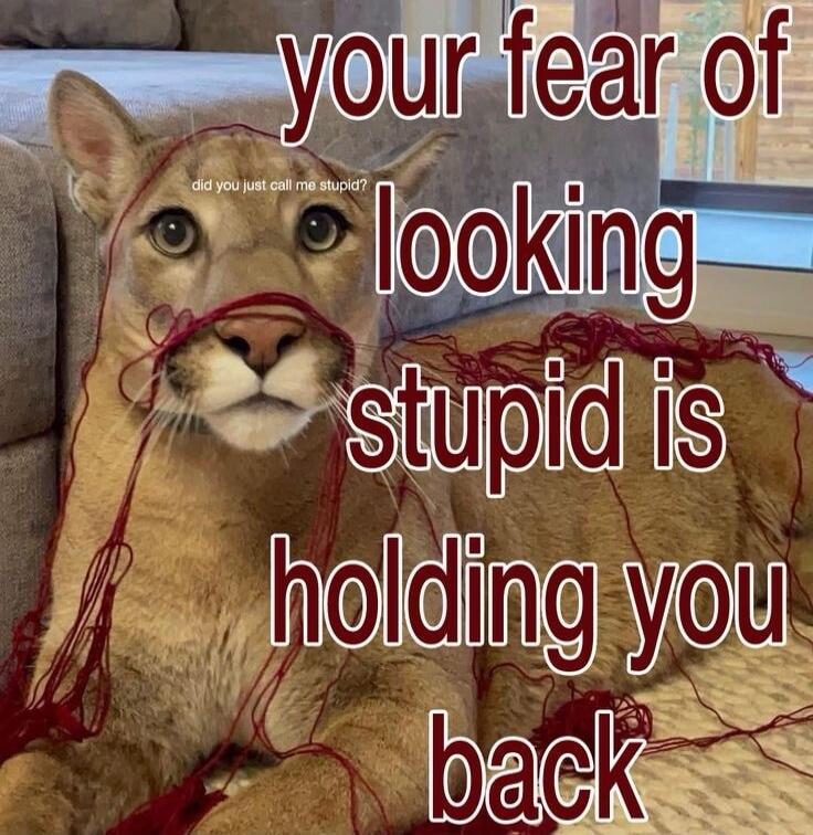 did you just call me stupid? your fear of looking stupid is holding you back