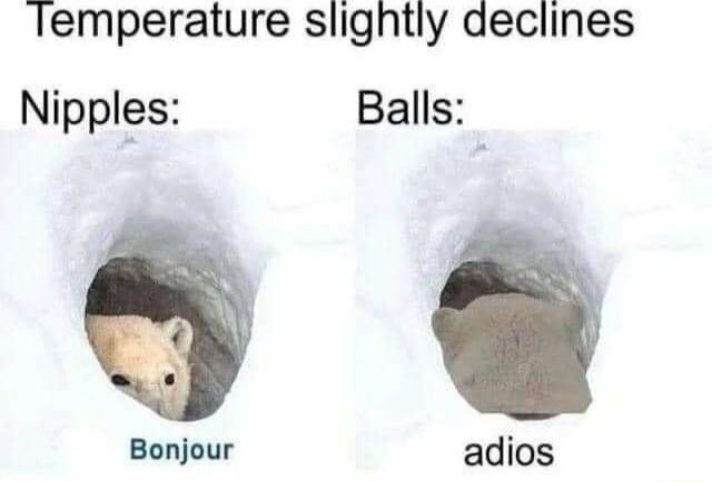 Temperature slightly declines
Nipples: Bonjour
Balls: adios