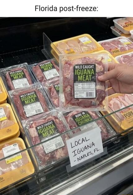 Florida post-freeze:
Wild caught Iguana meat
Local iguana Naples, FL