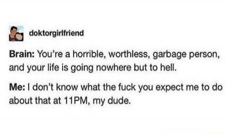 Brain: You're a horrible, worthless, garbage person, and your life is going nowhere but to hell. Me: I don't know what the fuck you expect me to do about that at 11PM, my dude.