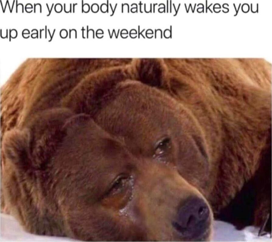 When your body naturally wakes you up early on the weekend