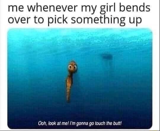 me whenever my girl bends over to pick something up
Ooh, look at me! I'm gonna go touch the butt!