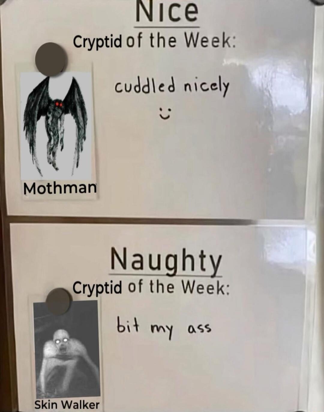 Nice
Cryptid of the Week:
 cuddled nicely
 :) 
Mothman

Naughty
Cryptid of the Week:
 bit my ass 
Skin Walker