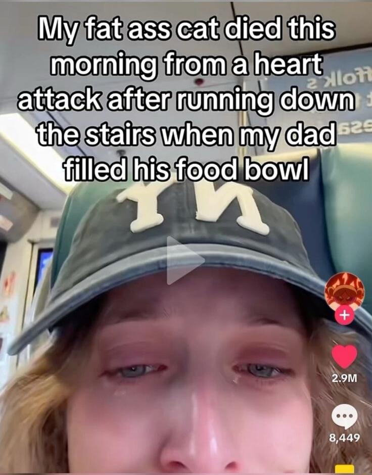 My fat ass cat died this morning from a heart attack after running down the stairs when my dad filled his food bowl