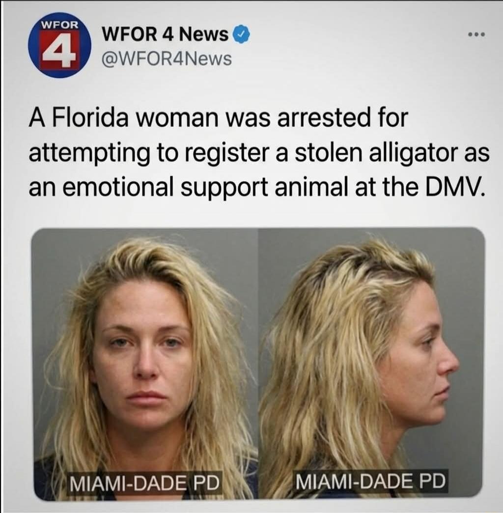 A Florida woman was arrested for attempting to register a stolen alligator as an emotional support animal at the DMV.