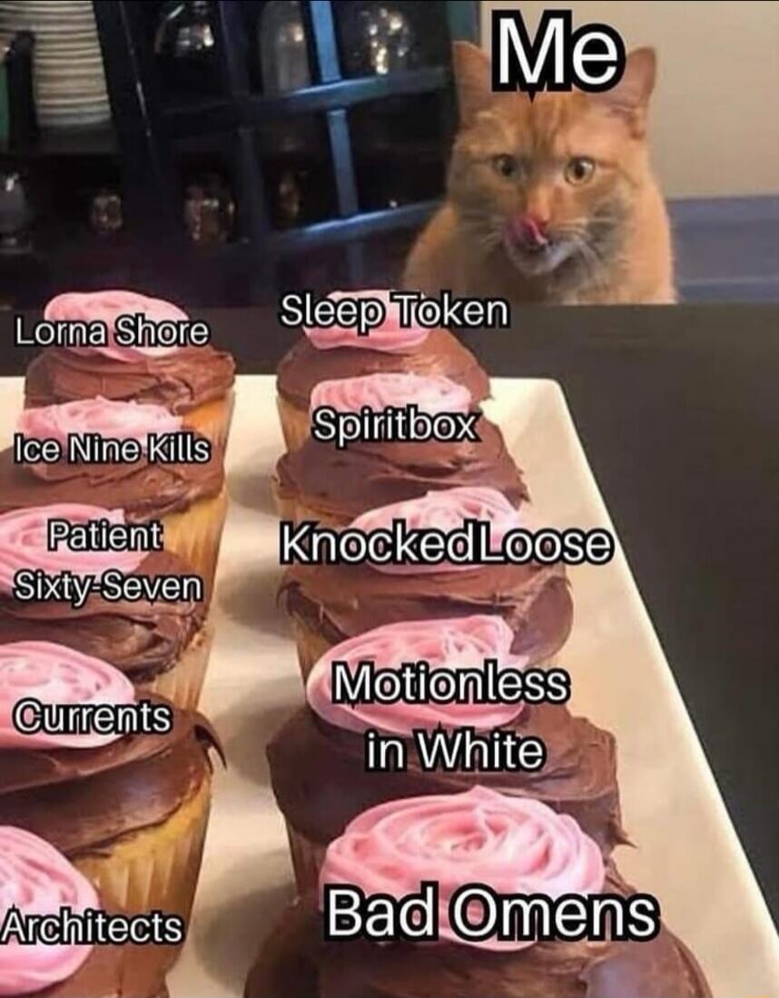 Me
Lorna Shore
Ice Nine Kills
Patient Sixty-Seven
Architects
Sleep Token
Spiritbox
Knocked Loose
Motionless in White
Bad Omens
Current(s)
Currents