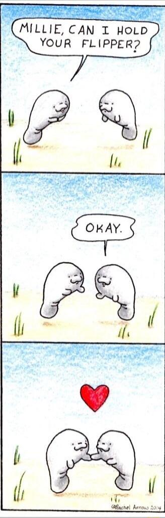 MILLIE, CAN I HOLD YOUR FLIPPER?
OKAY.