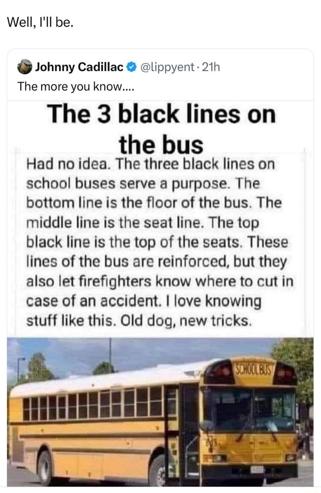 Well, I'll be. Johnny Cadillac @lippyent · 21h The more you know.... The 3 black lines on the bus Had no idea. The three black lines on school buses serve a purpose. The bottom line is the floor of the bus. The middle line is the seat line. The top black line is the top of the seats. These lines of the bus are reinforced, but they also let firefigh