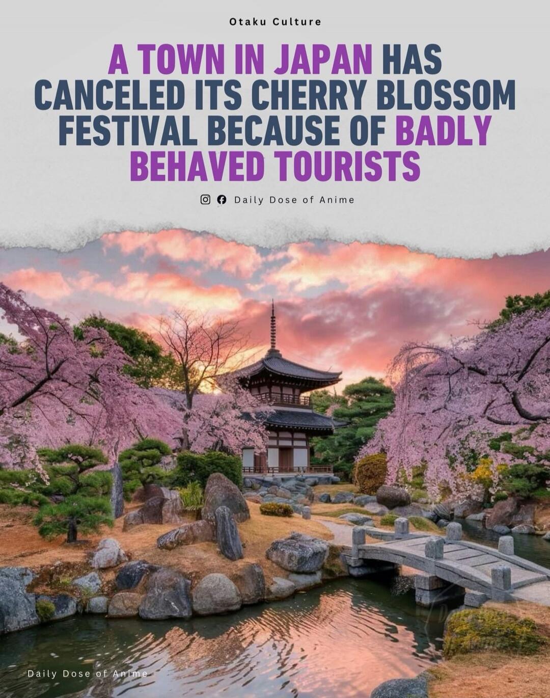 A TOWN IN JAPAN HAS CANCELED ITS CHERRY BLOSSOM FESTIVAL BECAUSE OF BADLY BEHAVED TOURISTS
