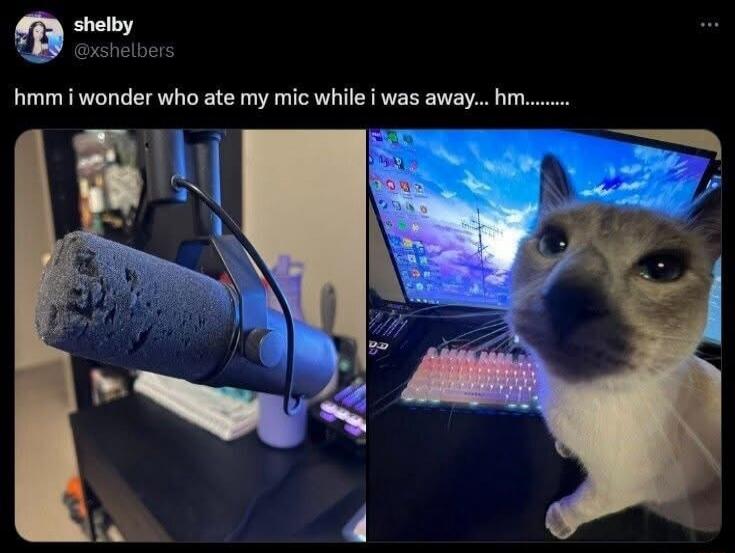 hmm i wonder who ate my mic while i was away... hm........