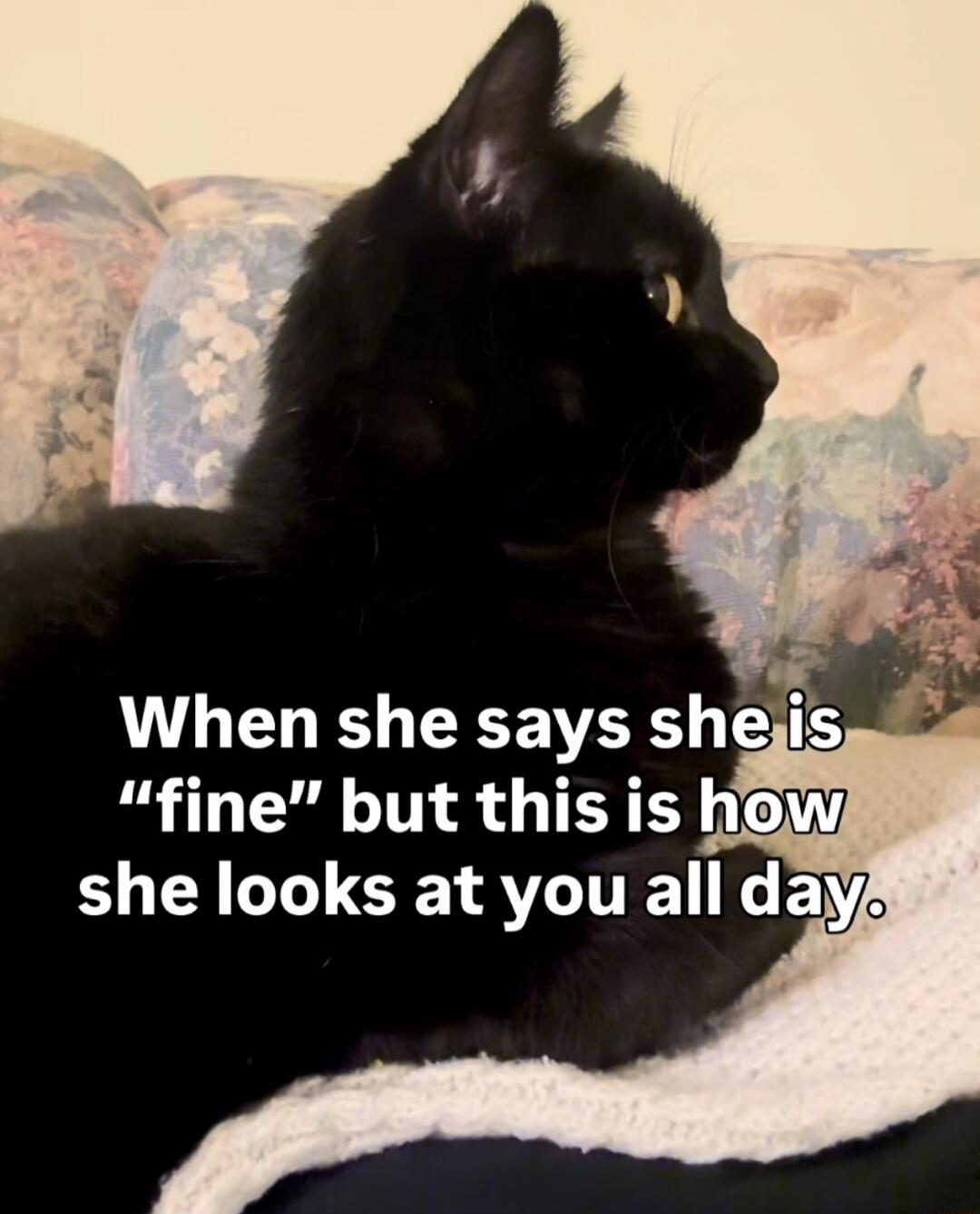 When she says she is 