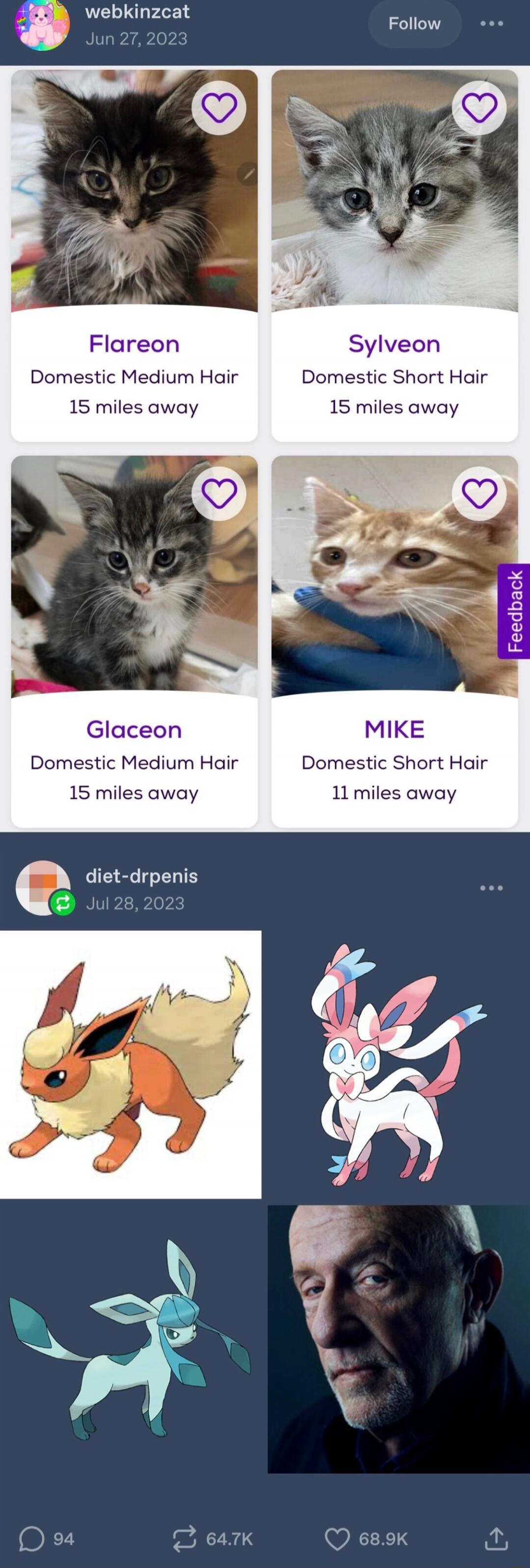 Flareon Domestic Medium Hair 15 miles away
Sylveon Domestic Short Hair 15 miles away
Glaceon Domestic Medium Hair 15 miles away
MIKE Domestic Short Hair 11 miles away