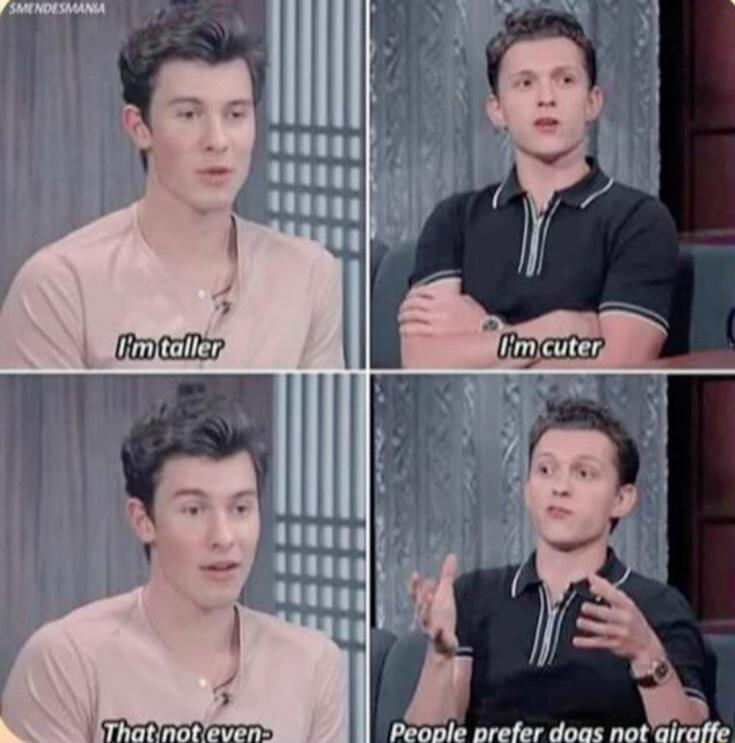 I'm taller
I'm cuter
That not even
People prefer does not giraffe