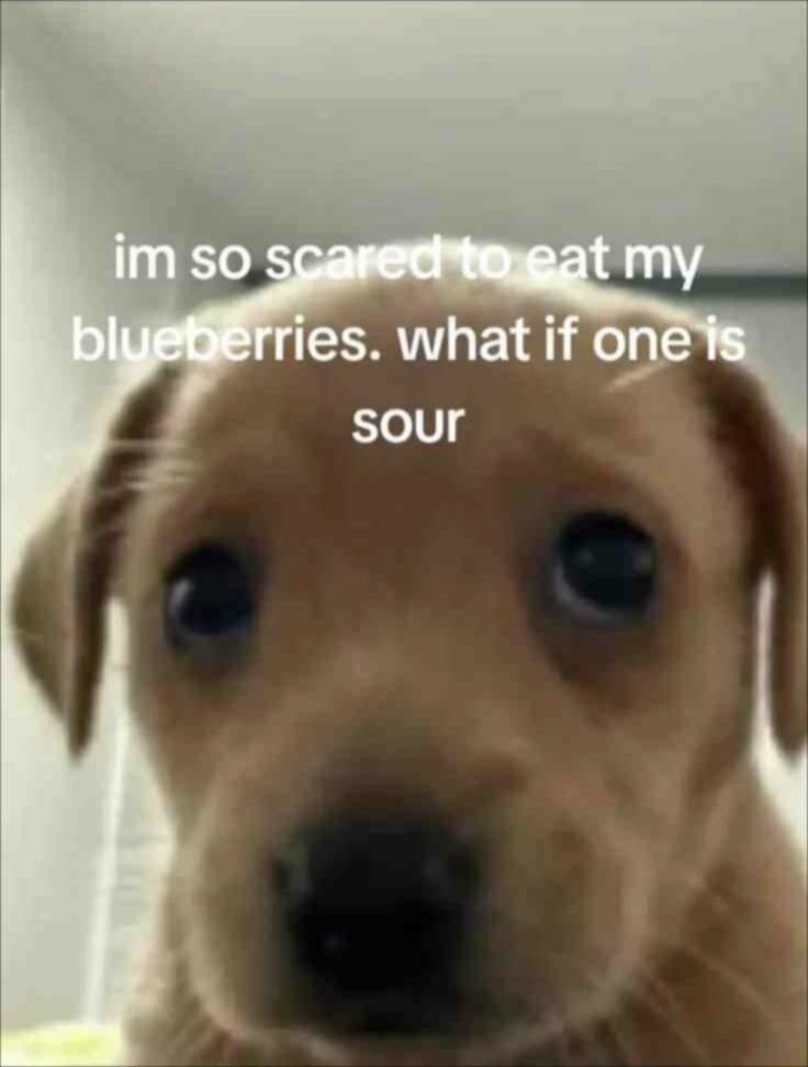 im so scared to eat my blueberries. what if one is sour