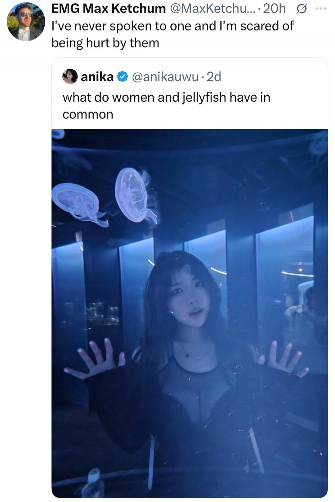 I’ve never spoken to one and I’m scared of being hurt by them
what do women and jellyfish have in common