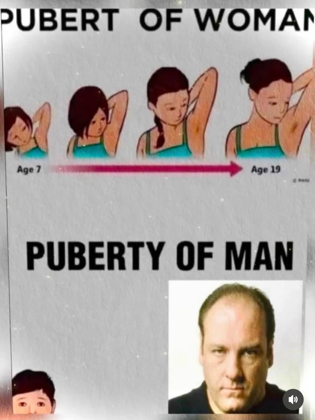 PUBERT OF WOMAN
Age 7  →  Age 19
PUBERTY OF MAN