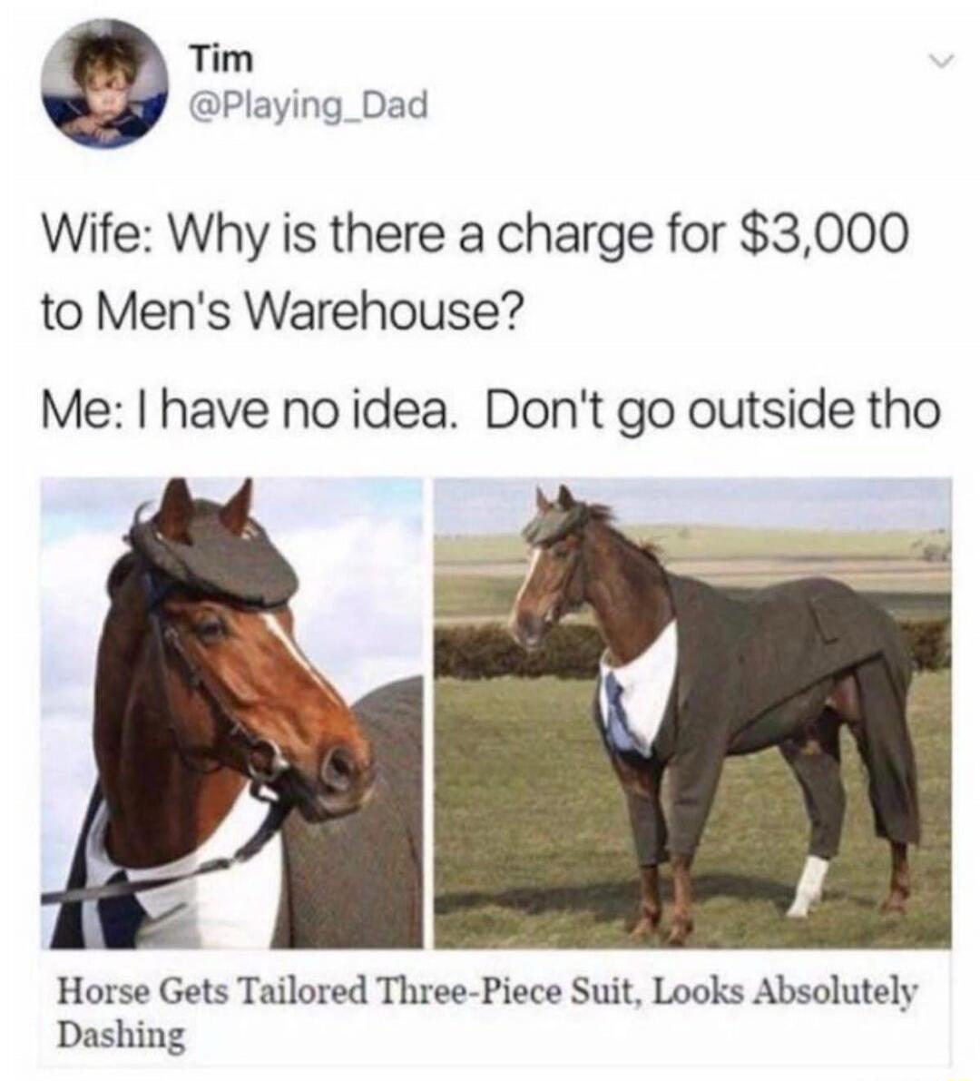 Wife: Why is there a charge for $3,000 to Men's Warehouse? Me: I have no idea. Don't go outside tho\nHorse Gets Tailored Three-Piece Suit, Looks Absolutely Dashing