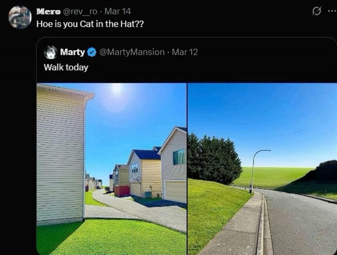 Hoe is you Cat in the Hat??
Walk today