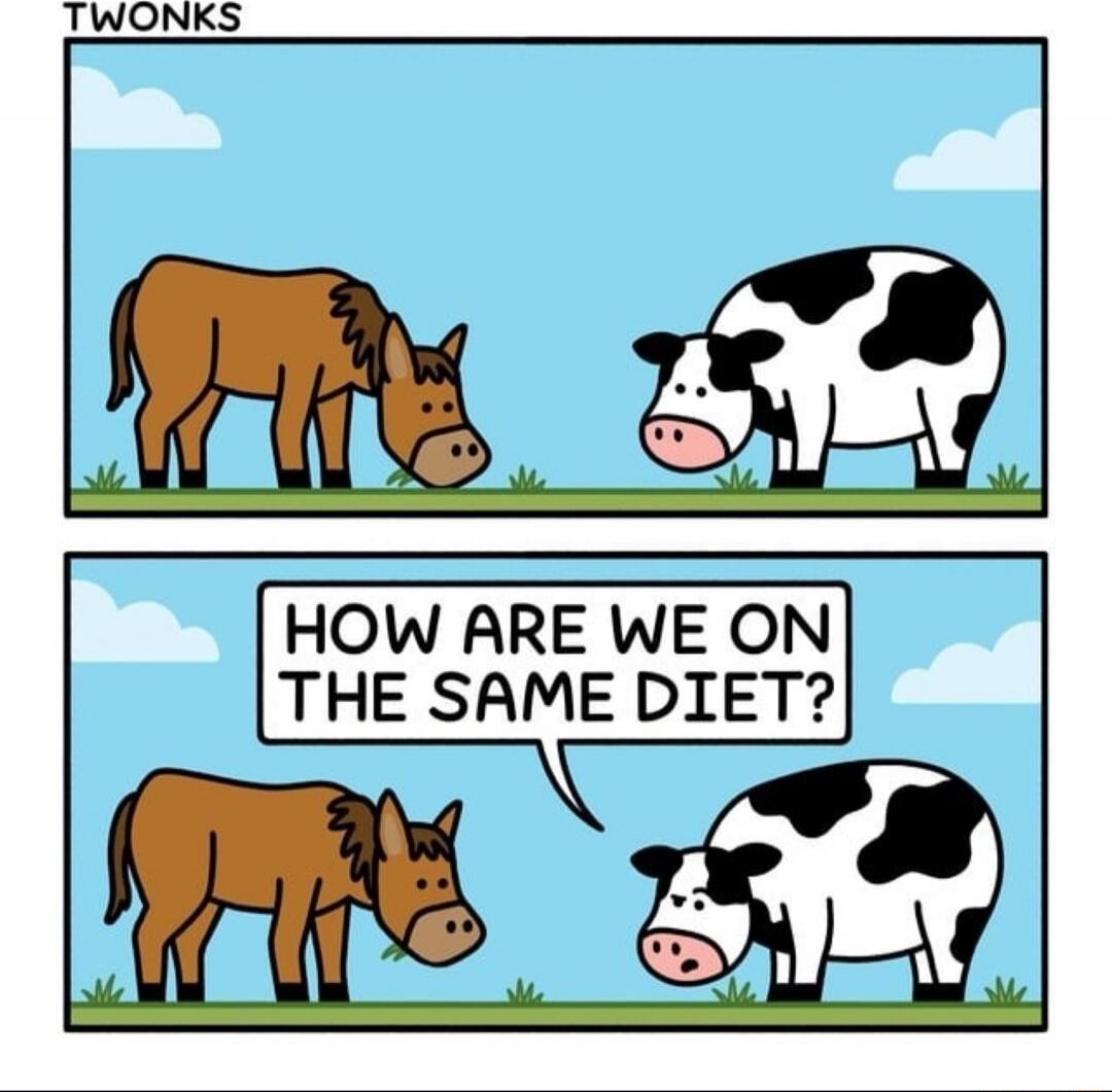 TWONKS
How are we on the same diet?