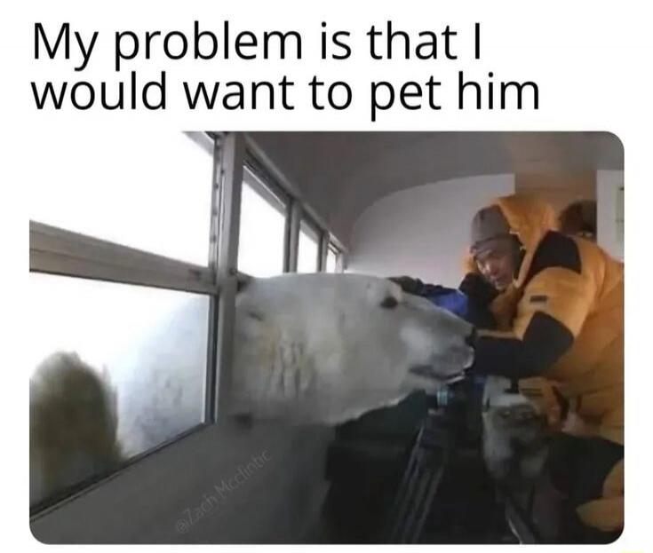 My problem is that I would want to pet him