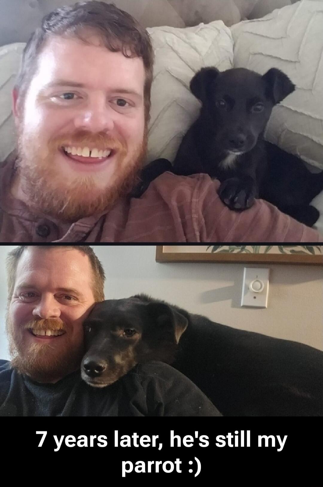 7 years later, he's still my parrot :)