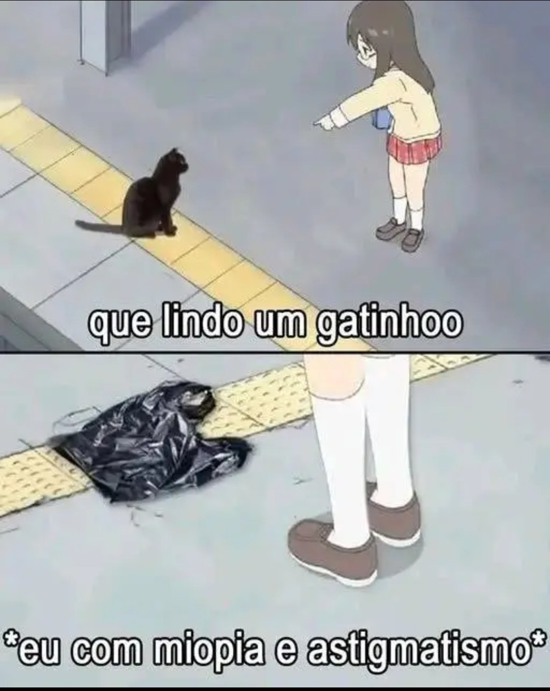 que lindo um gatinho

*eu com miopia e astigmatismo*