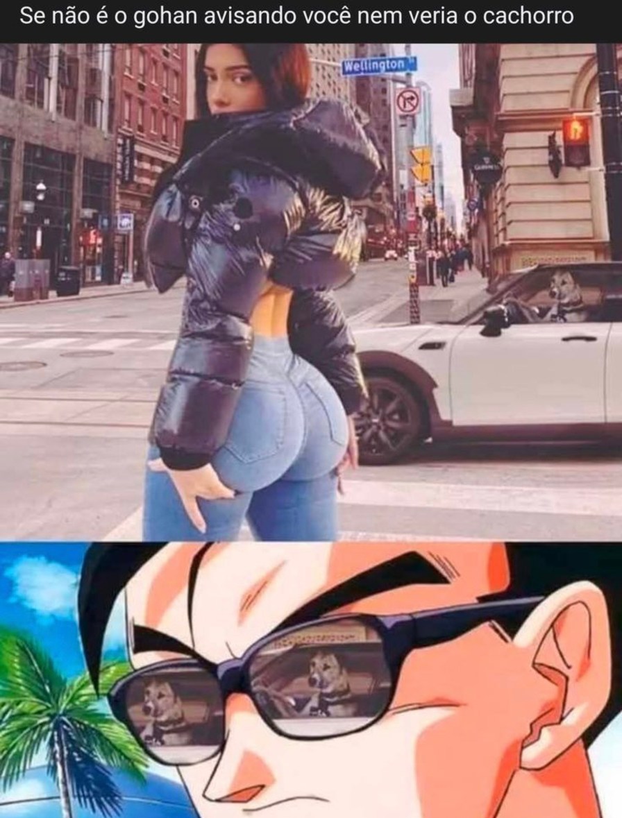 Se não é o gohan avisando você nem vera o cachorro