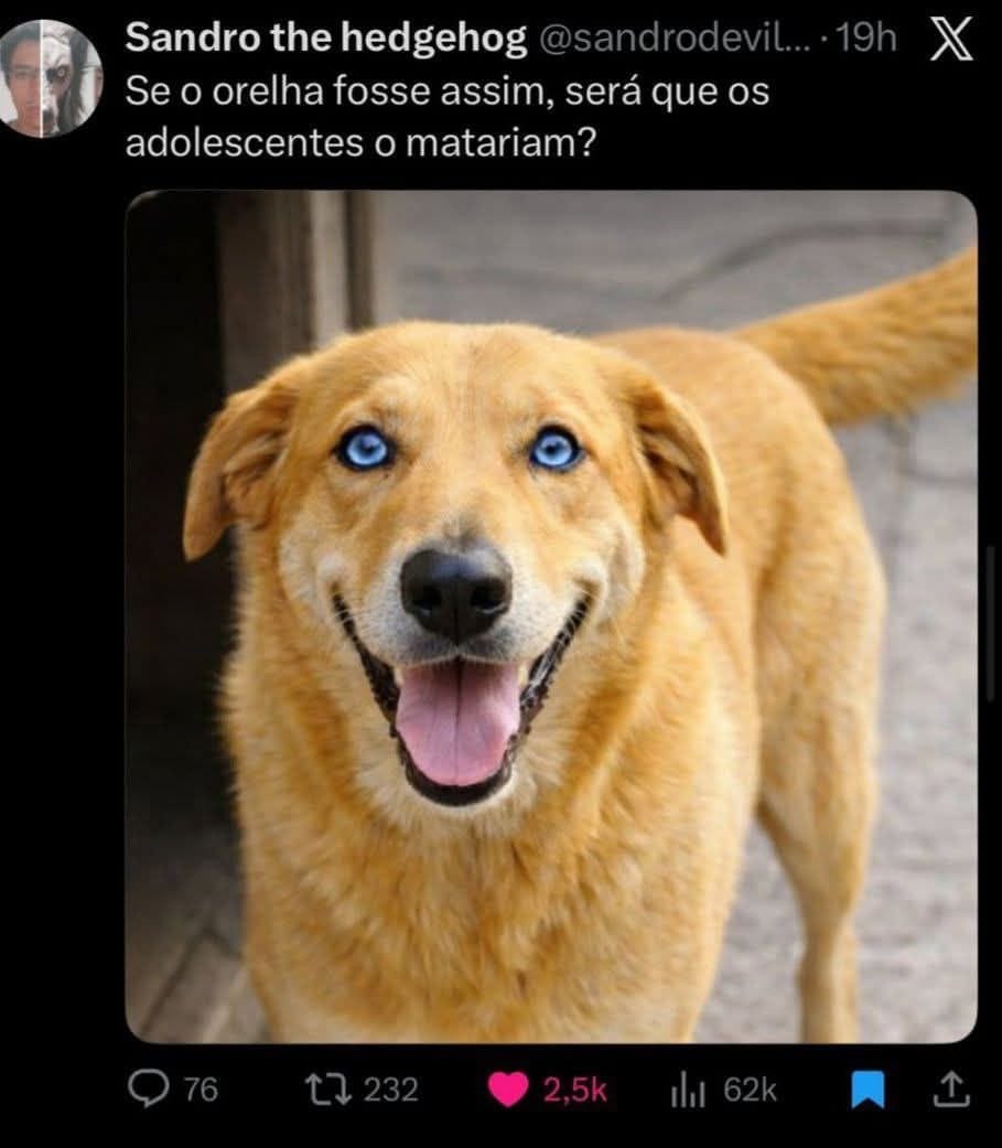 Se a orelha fosse assim, será que os adolescentes o matariam?