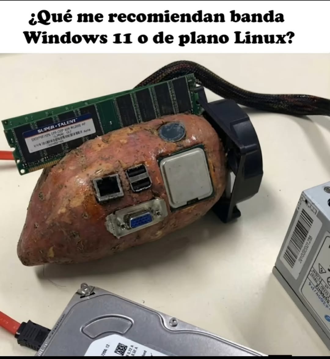 ¿Qué me recomiendan banda Windows 11 o de plano Linux?