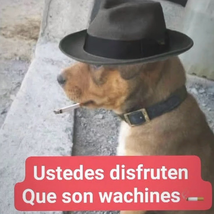 Ustedes disfruten Que son wachines