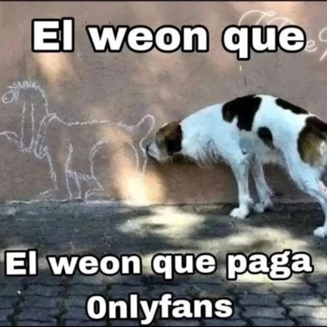 El weon que
El weon que paga
Onlyfans