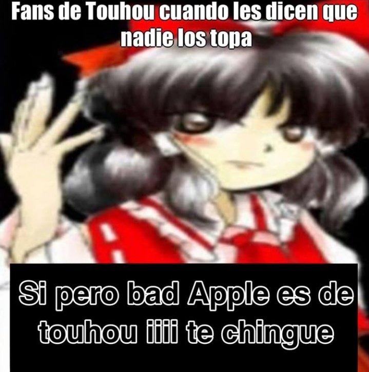 Fans de Touhou cuando les dicen que nadie los topa
Si pero bad Apple es de touhou iii te chingue