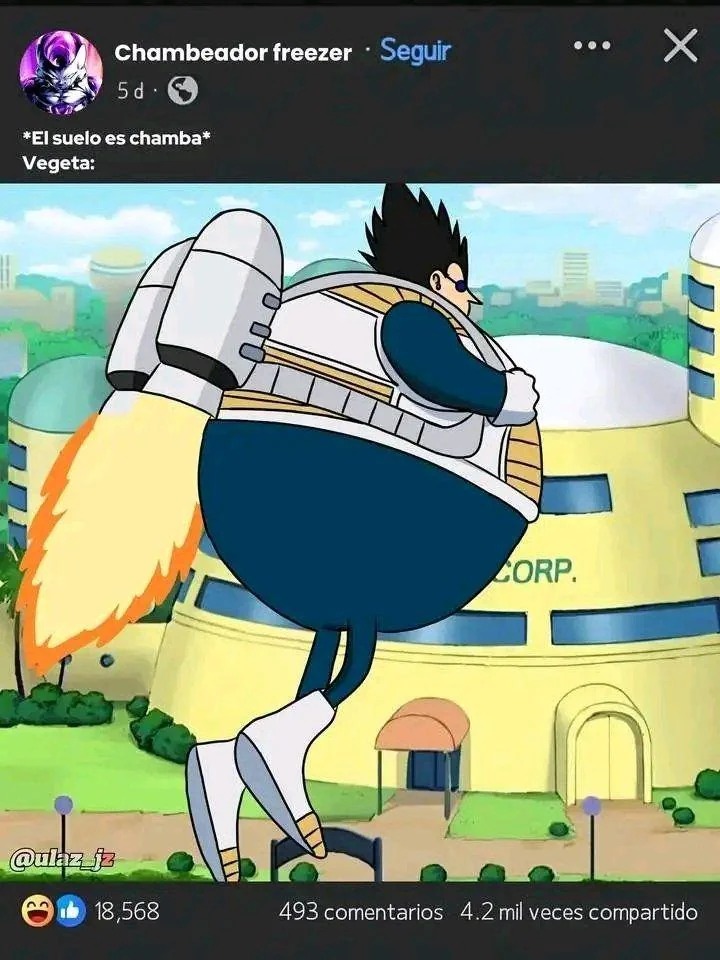 *El sueldo es chamba* Vegeta: