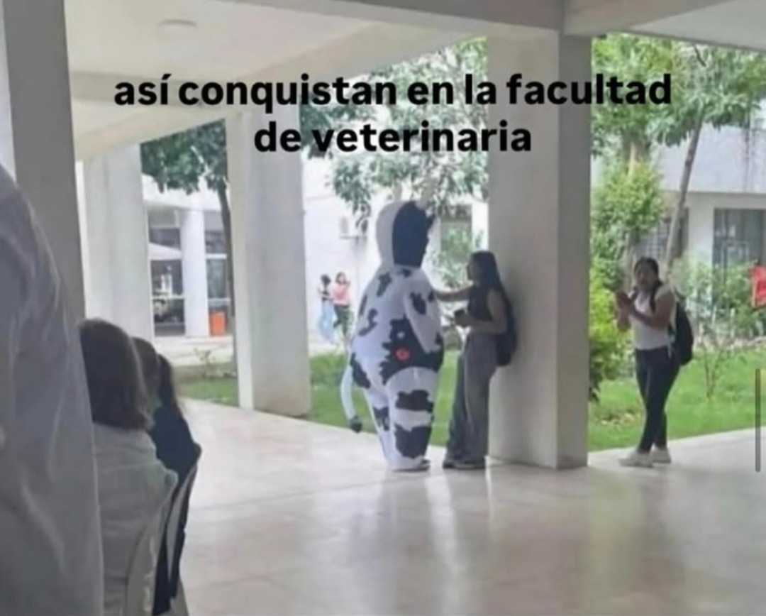 así conquistan en la facultad de veterinaria