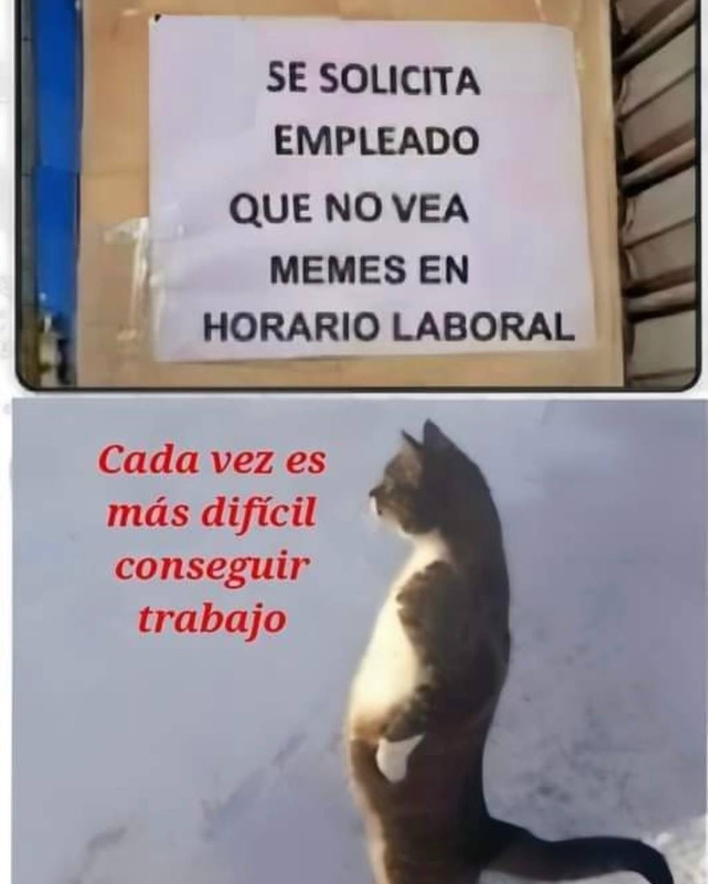 SE SOLICITA EMPLEADO QUE NO VEA MEMES EN HORARIO LABORAL
Cada vez es más difícil conseguir trabajo