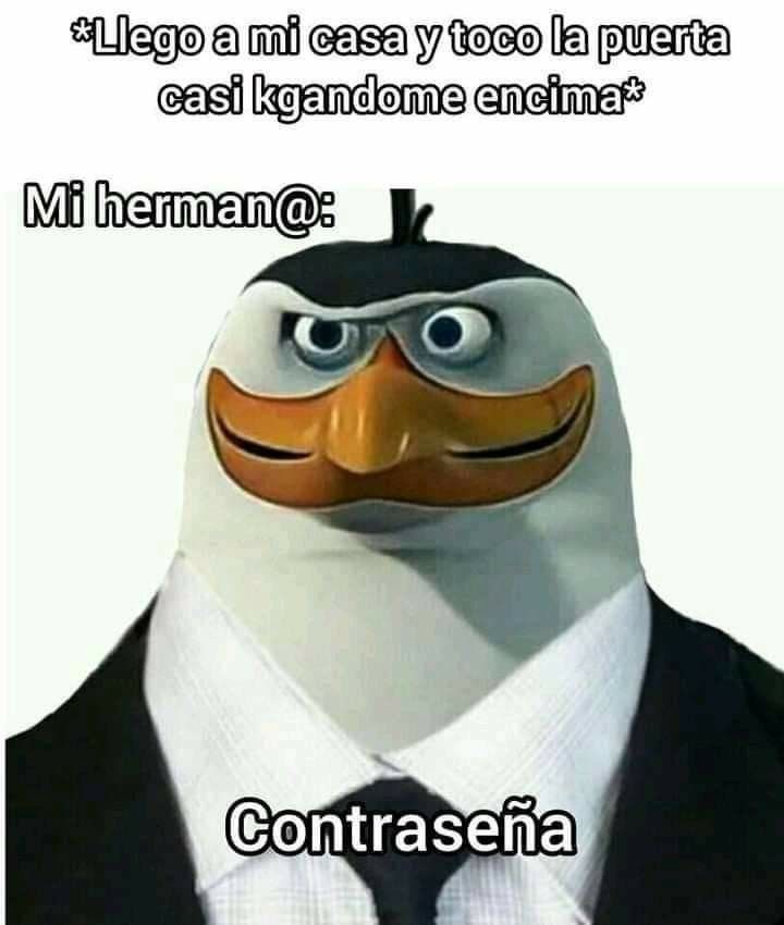 *Llego a mi casa y toco la puerta casi kgandome encima*
Mi herman@: 
Contraseña