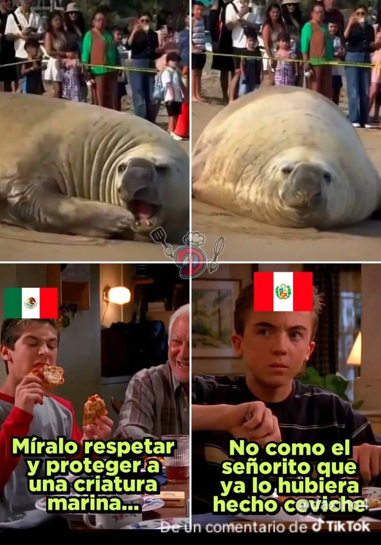 Míralo respetar y proteger a una criatura marina... No como el señorito que ya lo hubiera hecho ceviche