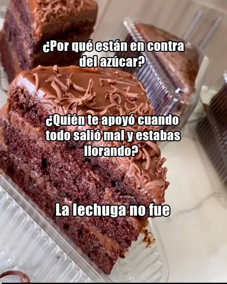 ¿Por qué están en contra del azúcar?
¿Quién te apoyó cuando todo salió mal y estabas llorando?
La lechuga no fue