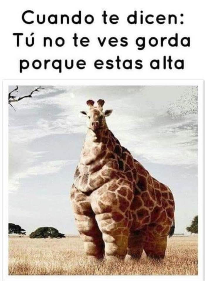 Cuando te dicen: Tú no te ves gorda porque estas alta