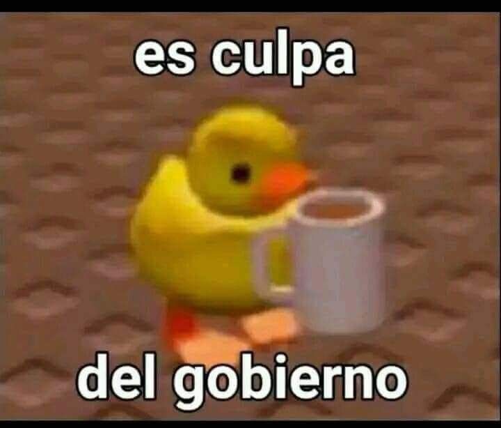 es culpa del gobierno