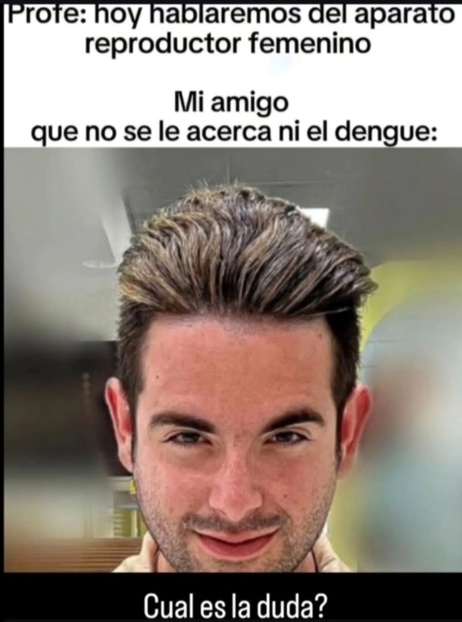 Profe: hoy hablaremos del aparato reproductor femenino
Mi amigo que no se le acerca ni el dengue:
Cual es la duda?